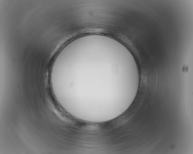 X0000113940110200909250948