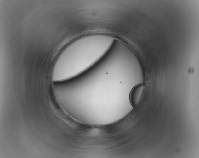 X0000113940111200909250948