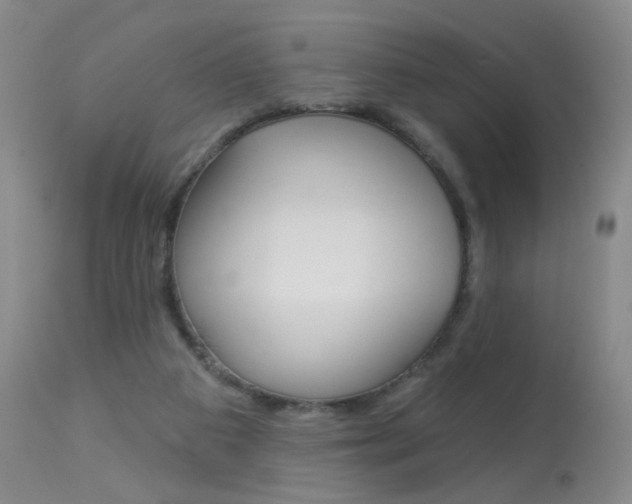 X0000113940113200909250948
