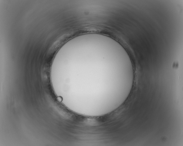 X0000113940114200909250948
