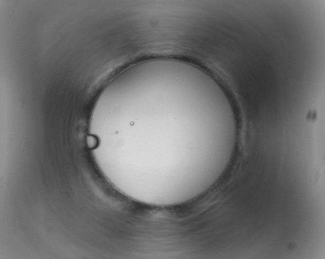 X0000113940115200909250948