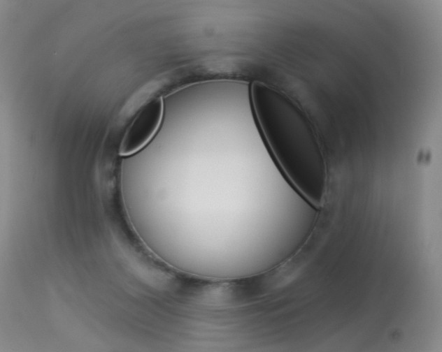 X0000113940116200909250948