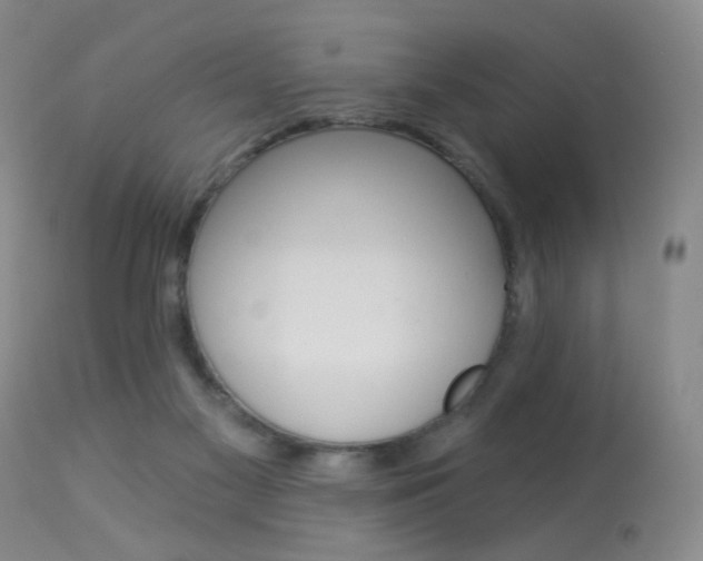 X0000113940117200909250948