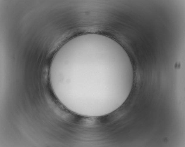 X0000113940118200909250948