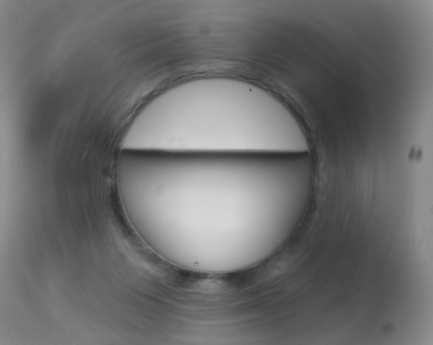 X0000113940119200909250948