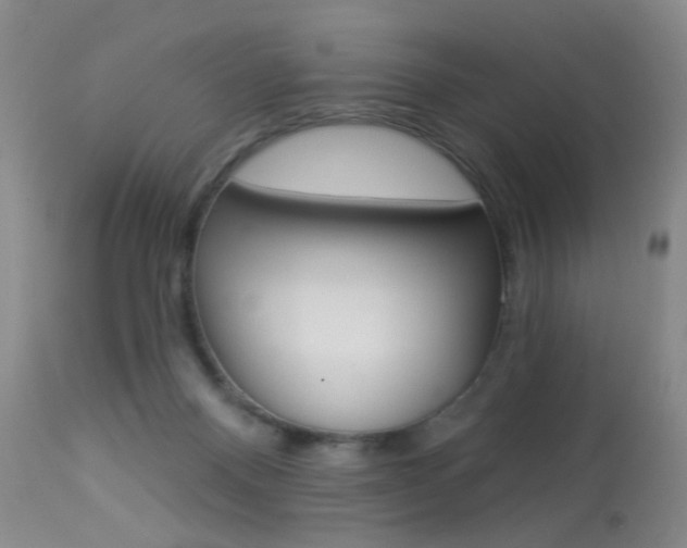 X0000113940120200909250948