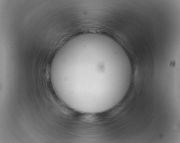 X0000113940121200909250948