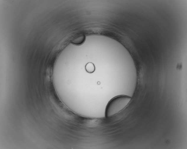 X0000113940122200909250948