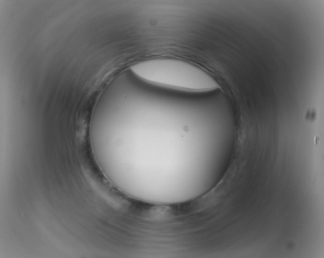 X0000113940124200909250948