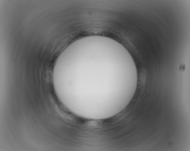 X0000113940126200909250948