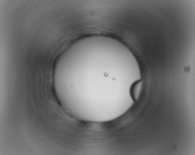 X0000113940127200909250948