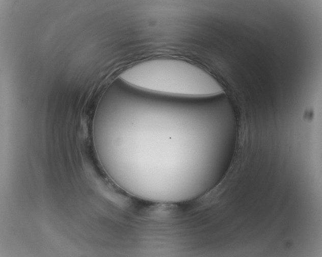 X0000113940128200909250948