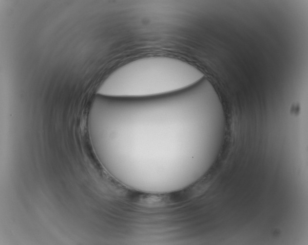 X0000113940129200909250948