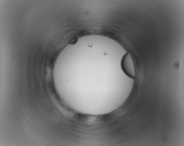 X0000113940130200909250948