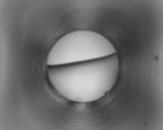 X0000113940131200909250948