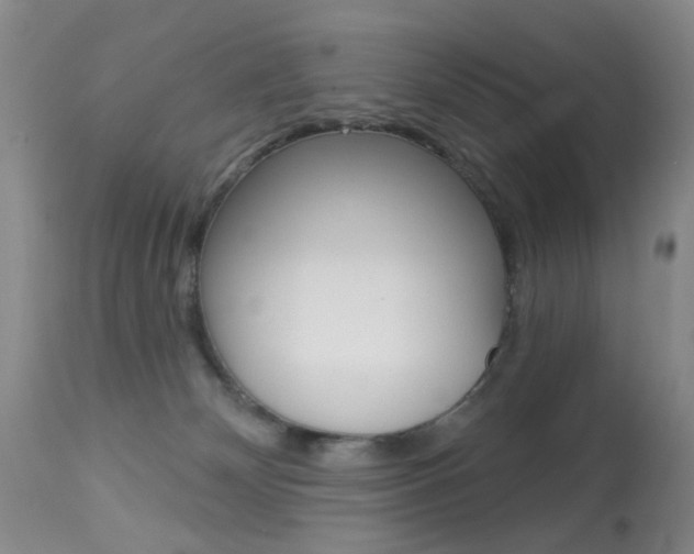 X0000113940132200909250948