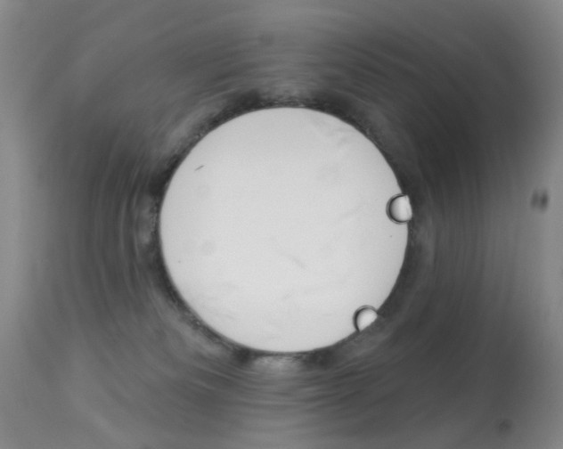 X0000113940133200909250948