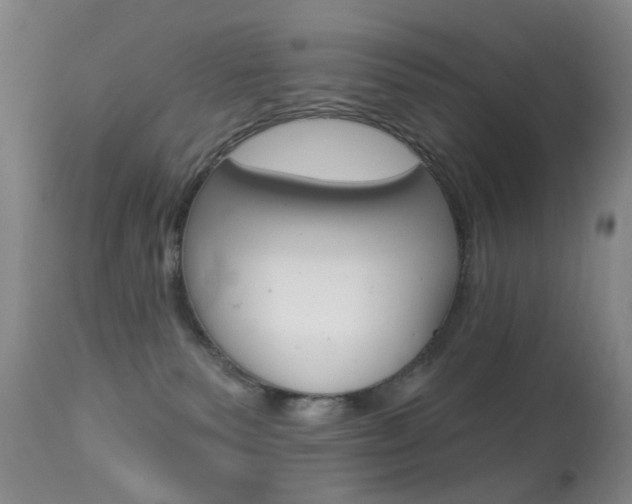 X0000113940135200909250948