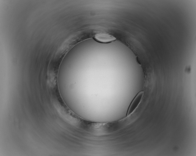 X0000113940136200909250948