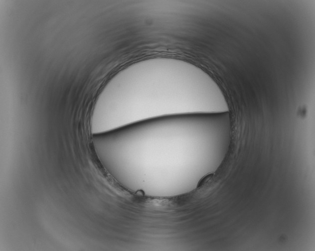 X0000113940137200909250948