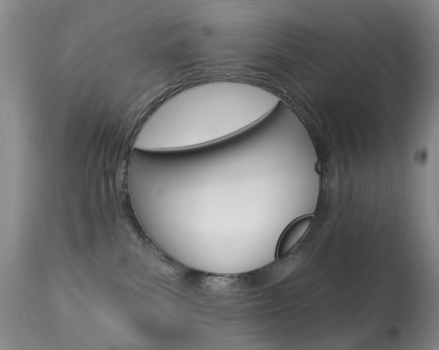 X0000113940139200909250948