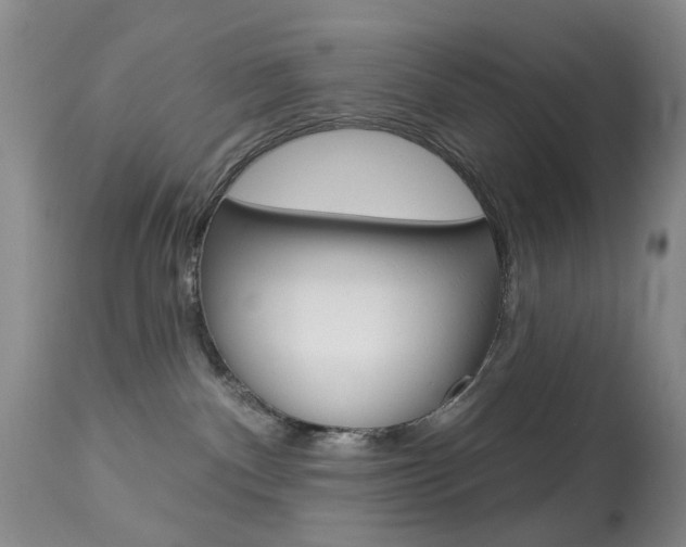 X0000113940140200909250948