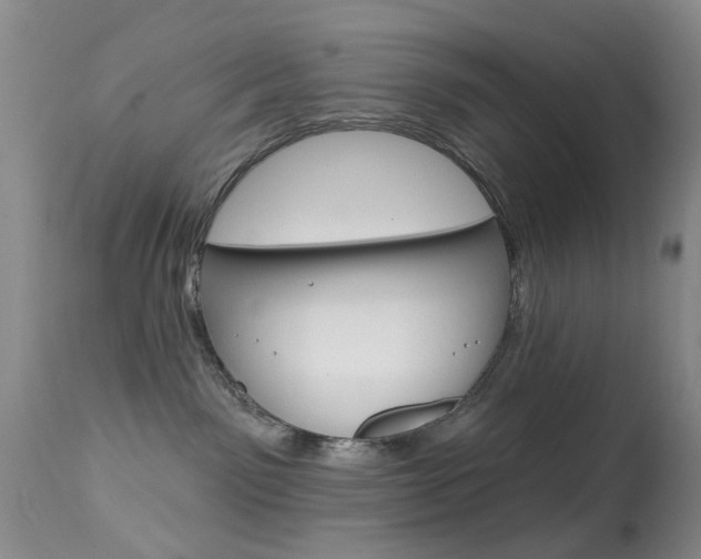 X0000113940141200909250948