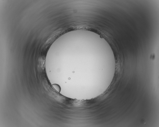 X0000113940142200909250948