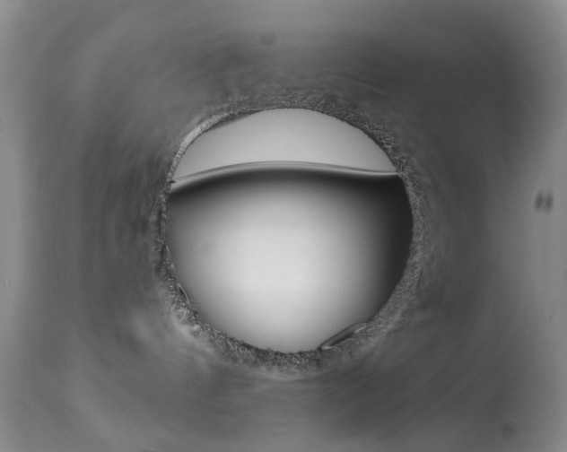 X0000113940144200909250948