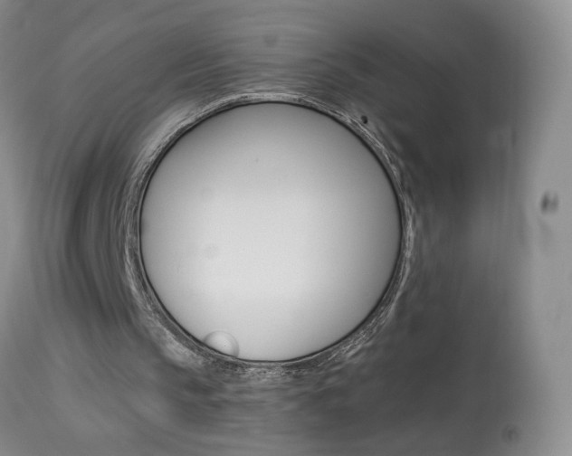 X0000113940145200909250947