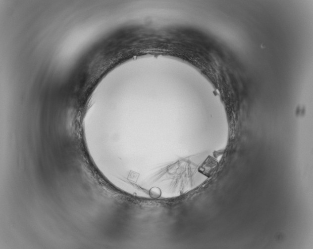 X0000113940146200909250947