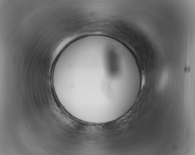 X0000113940147200909250947