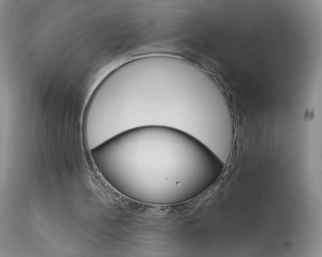X0000113940148200909250947