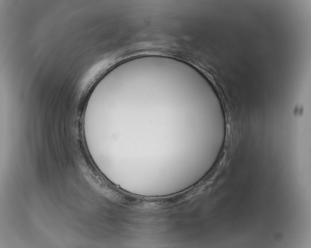 X0000113940149200909250947