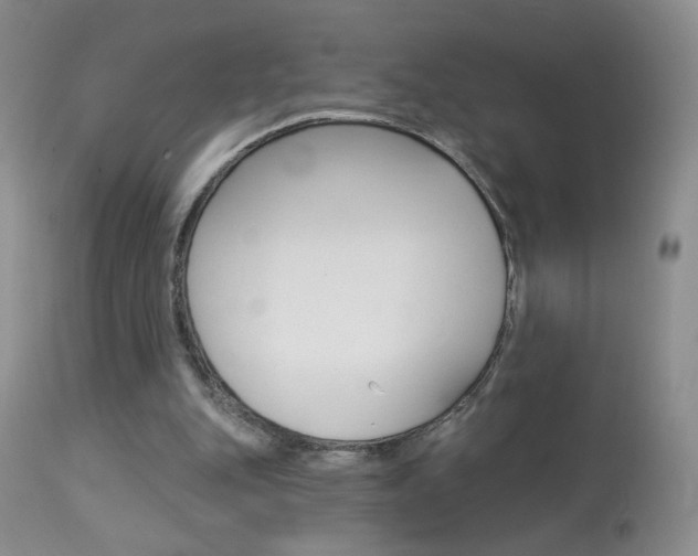 X0000113940151200909250947