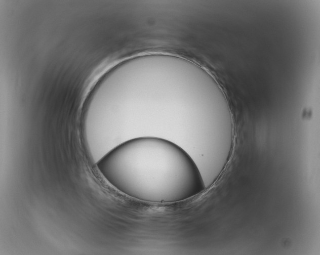 X0000113940152200909250947