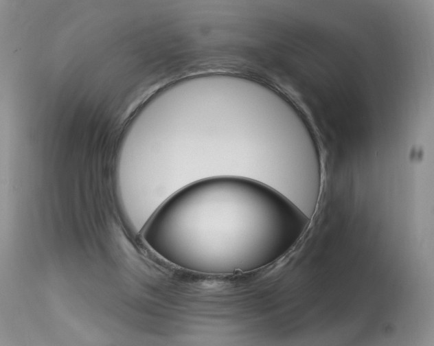 X0000113940154200909250947