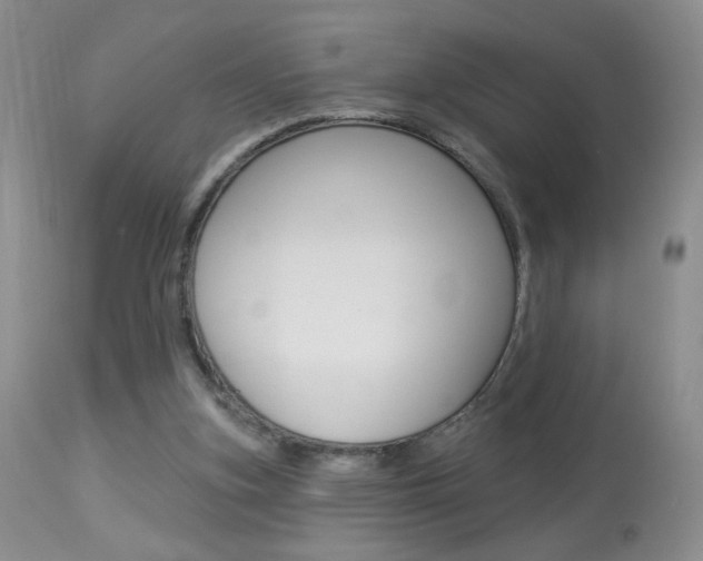 X0000113940155200909250947