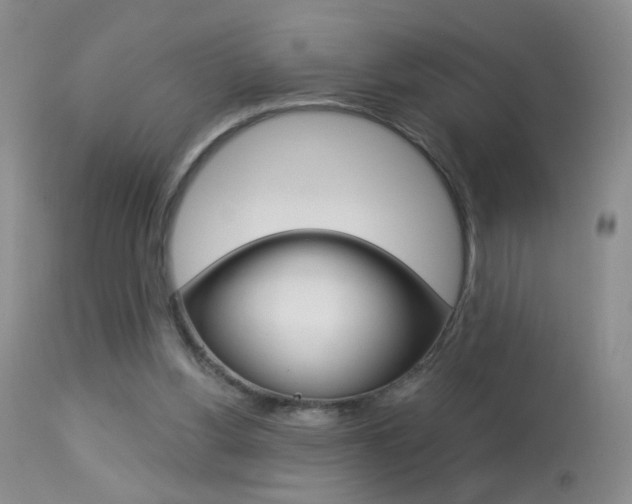 X0000113940156200909250947
