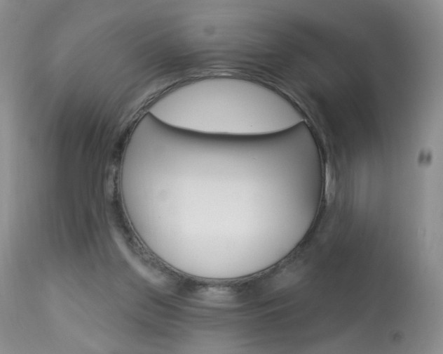 X0000113940157200909250947