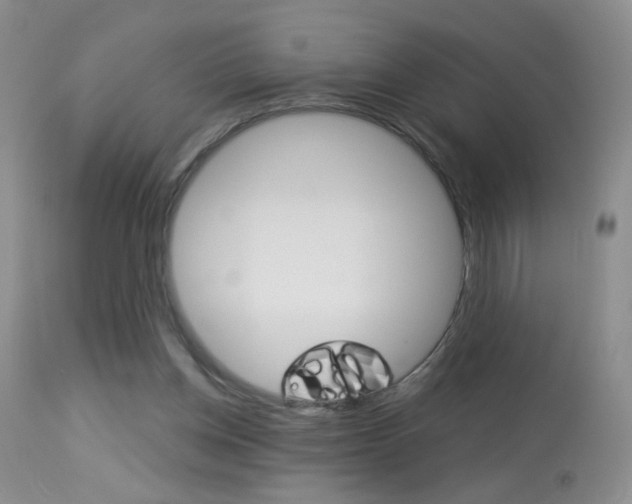 X0000113940158200909250947