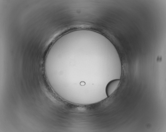 X0000113940159200909250947