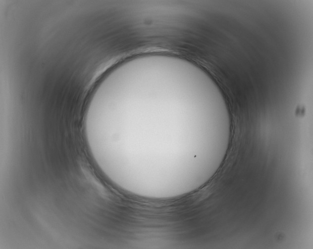 X0000113940160200909250947