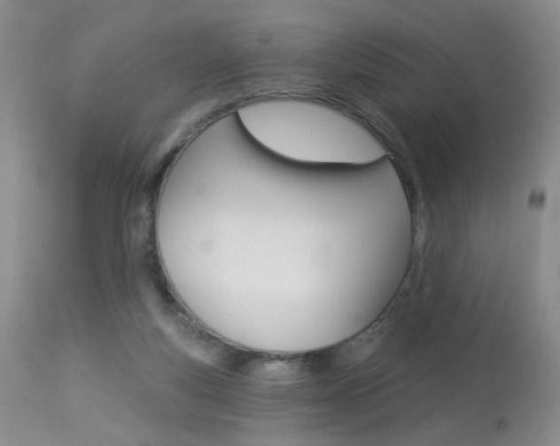 X0000113940163200909250947