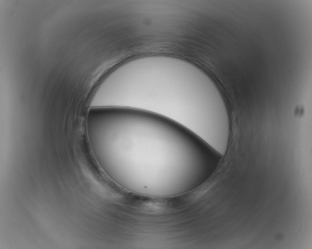 X0000113940164200909250948
