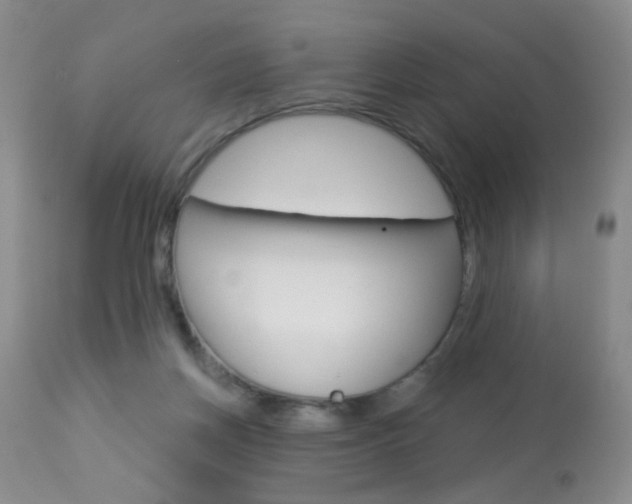 X0000113940166200909250948