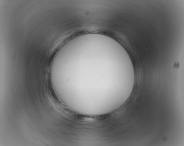 X0000113940167200909250948