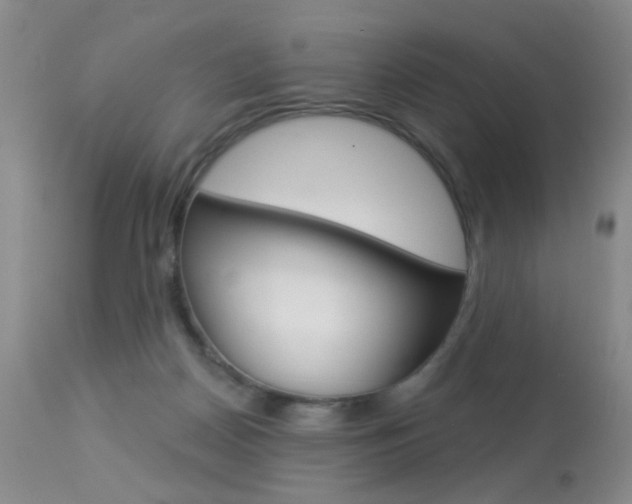 X0000113940170200909250948