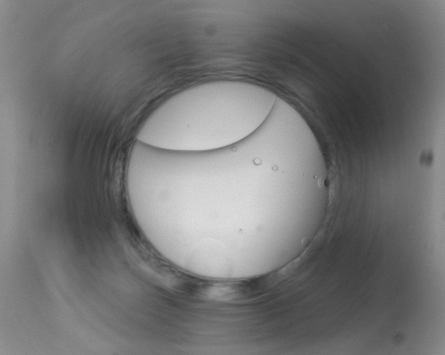 X0000113940171200909250948