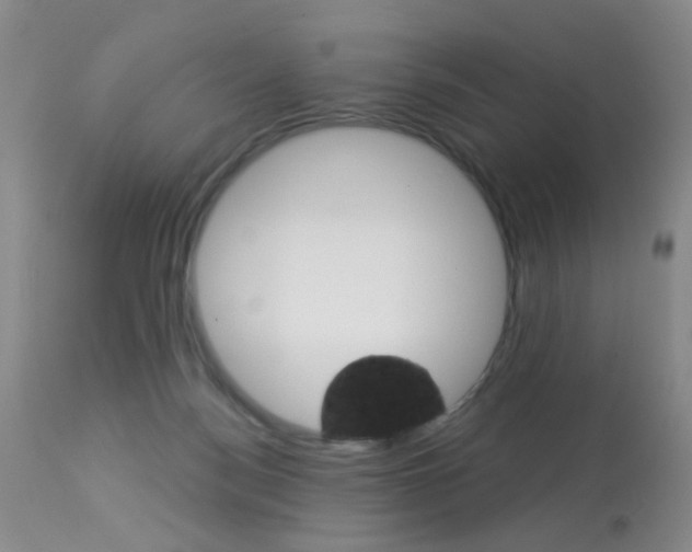 X0000113940172200909250948
